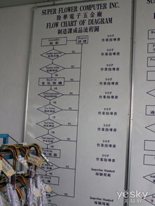 见证品质的飞跃 小飞飞振华工厂深度体验游